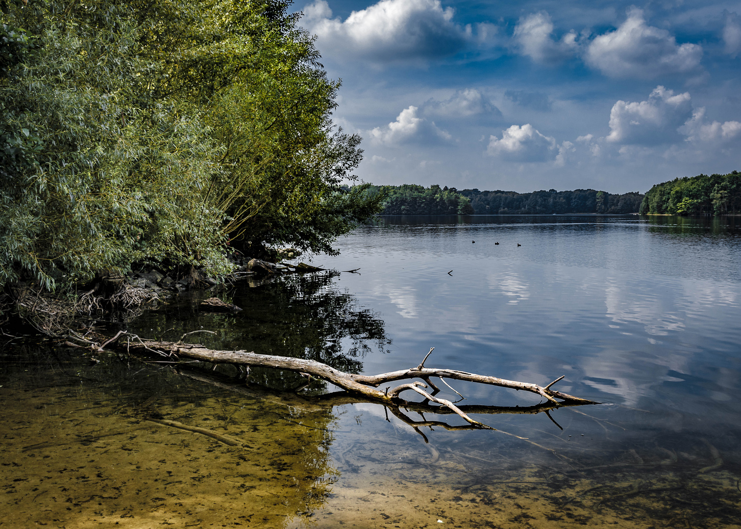 Sechs-Seen-Platte, Duisburg