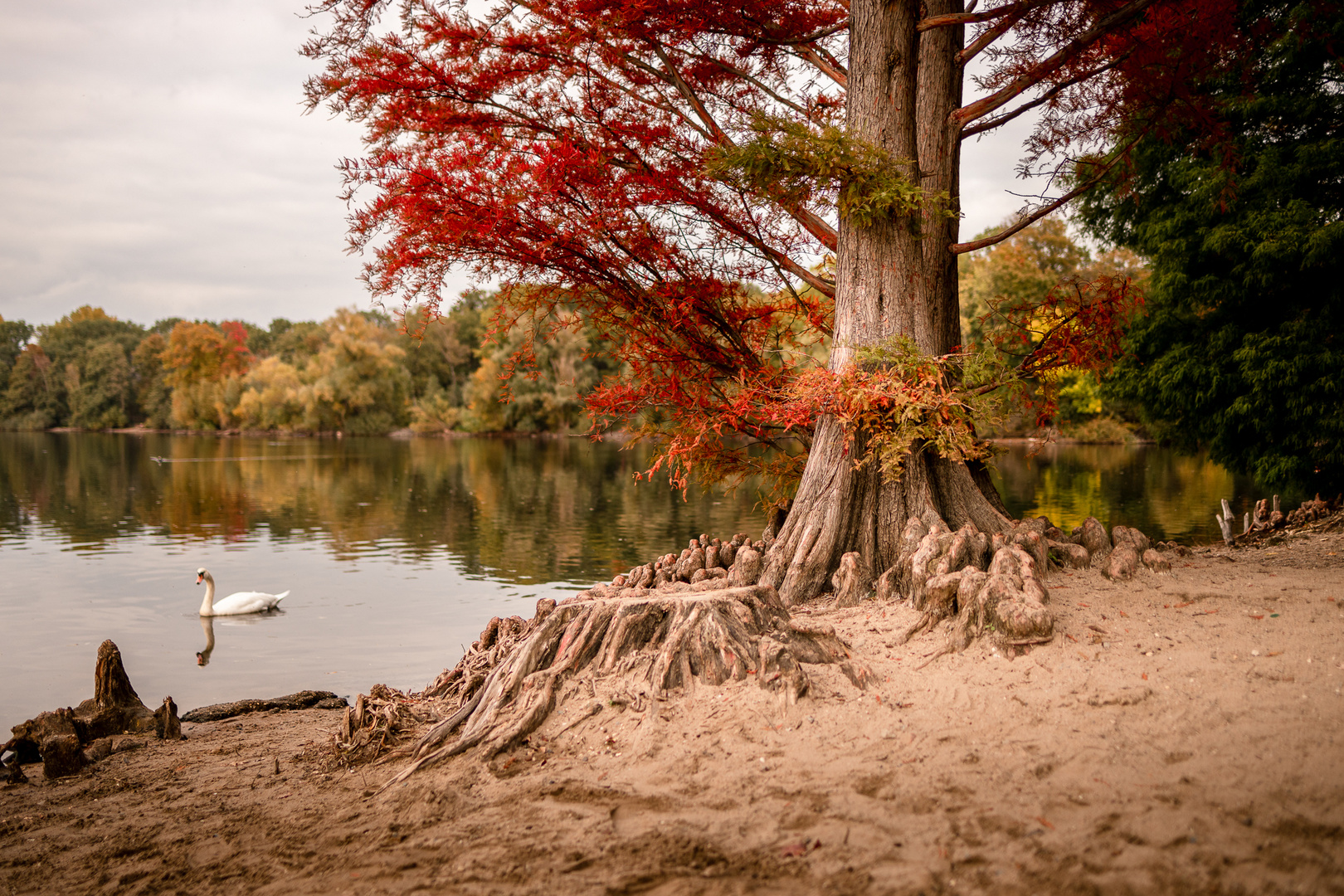 Sechs Seen Platte im Herbst