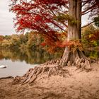 Sechs Seen Platte im Herbst