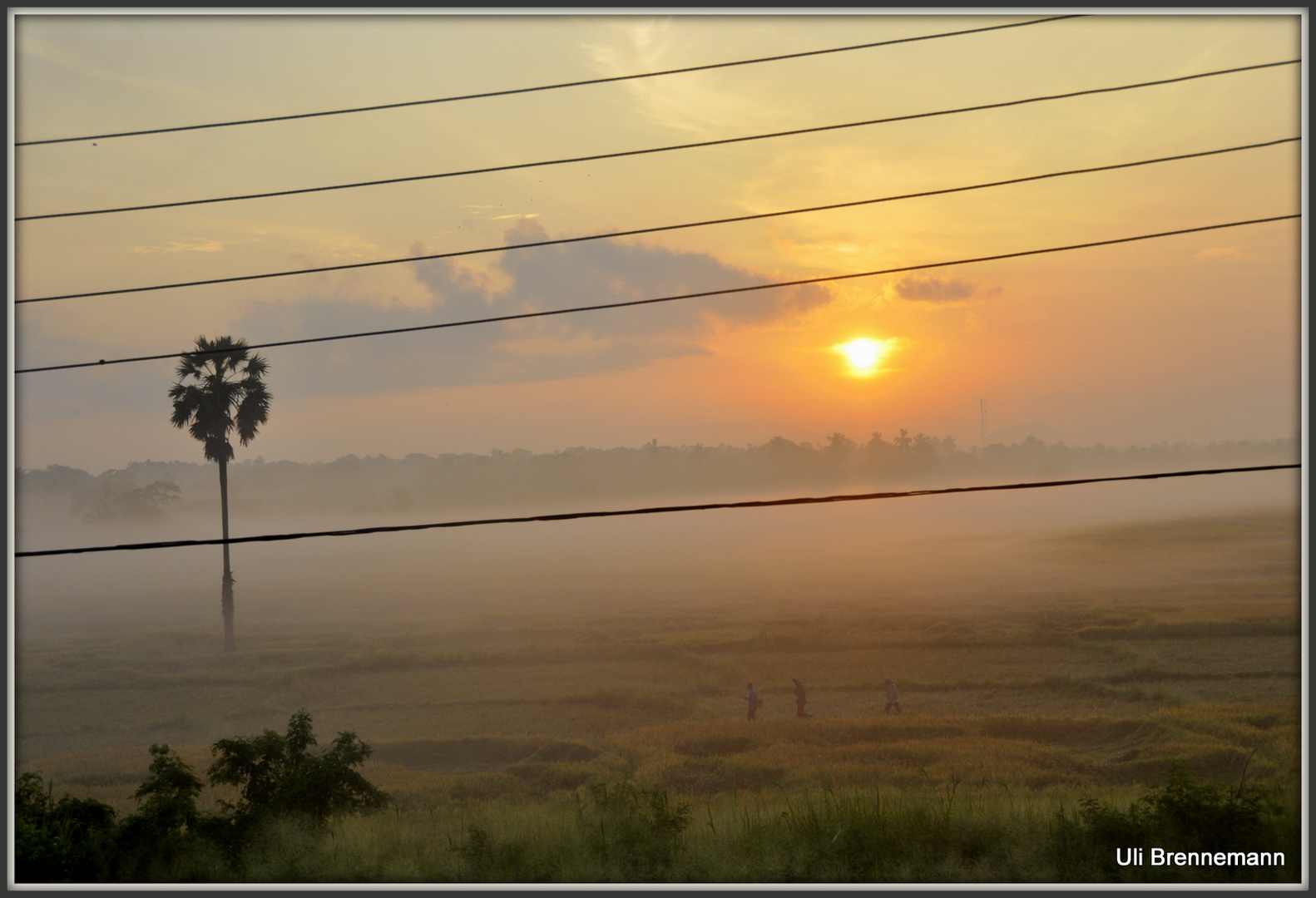 Sechs Uhr morgens - Blick aus unserem guesthouse - Reisernte