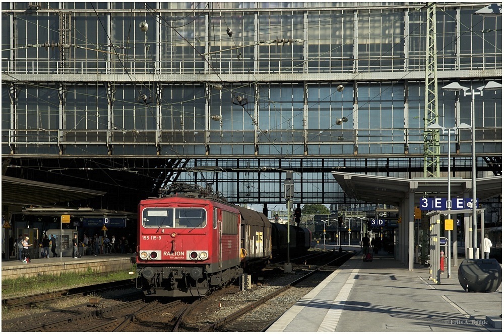 Sechsachsiger Quadratschädel