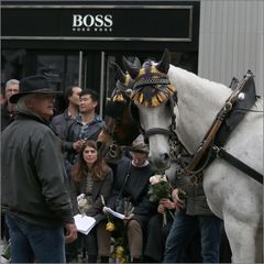 Sechseläuten: Wer ist wohl hier der Boss ?