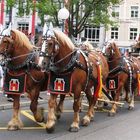 Sechsspänner der Feldschlösschen Brauerei