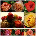 sechzehn rosen...
