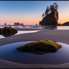 Second Beach Tidepool