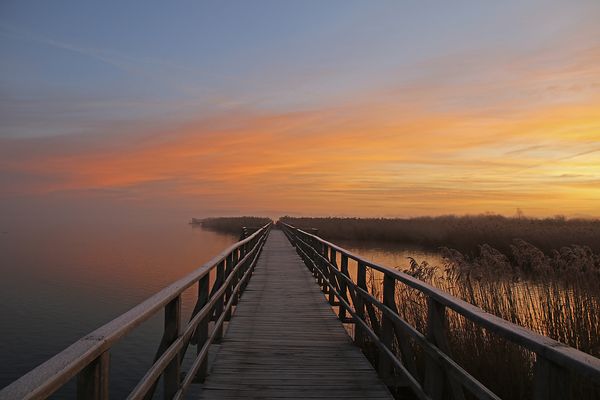 second day of the year 2022