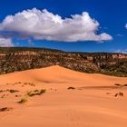 Second Dune 1, Coral Pink Sand Dunes SP, Utah, USA