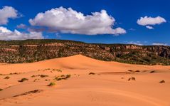 Second Dune 1, Coral Pink Sand Dunes SP, Utah, USA