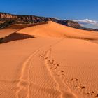 Second Dune 2, Coral Pink Sand Dunes SP, Utah, USA