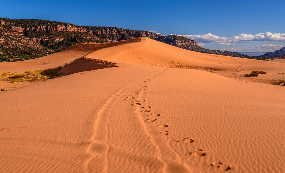 Second Dune 2, Coral Pink Sand Dunes SP, Utah, USA