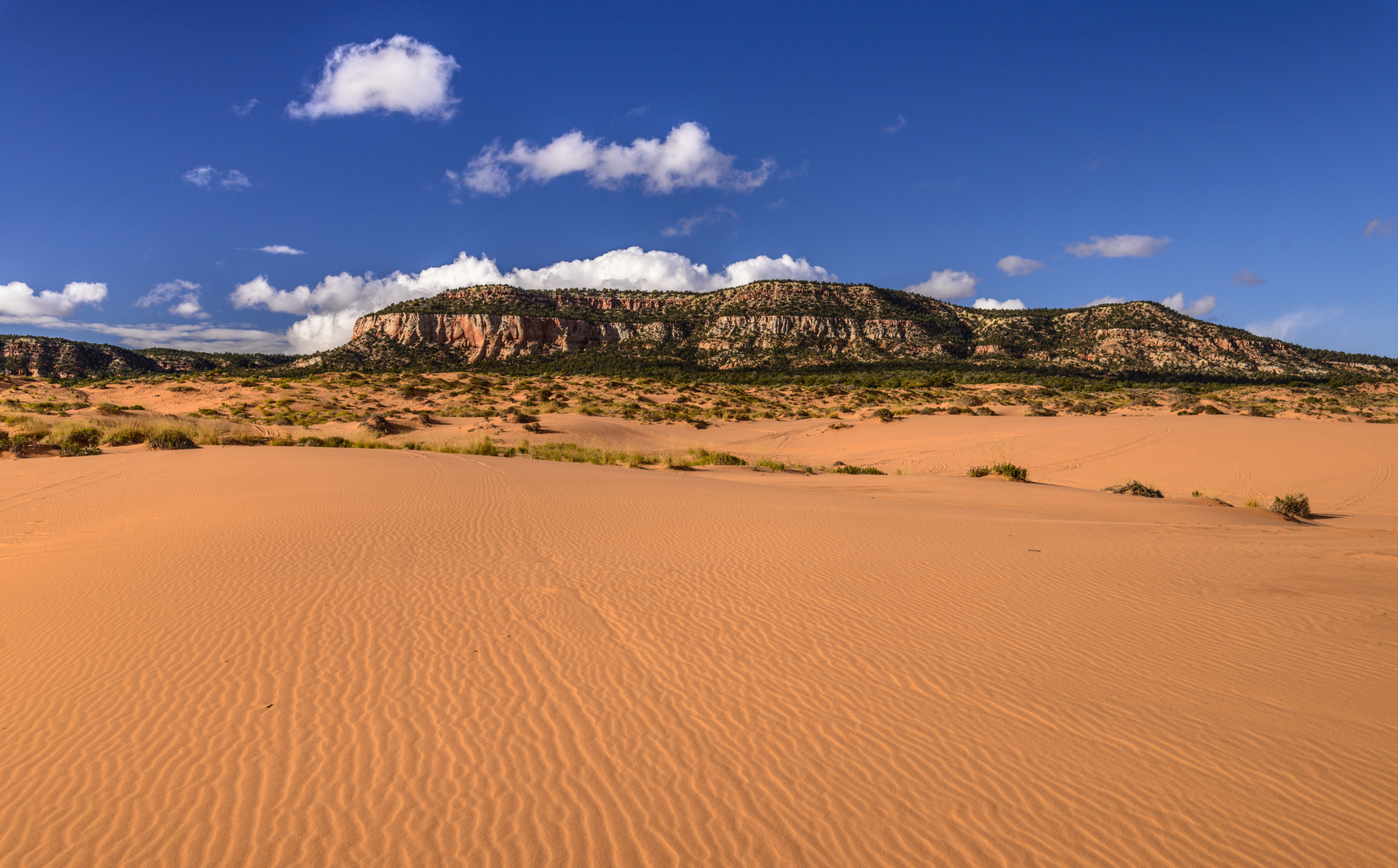 Second Dune 3, Coral Pink Sand Dunes SP, Utah, USA