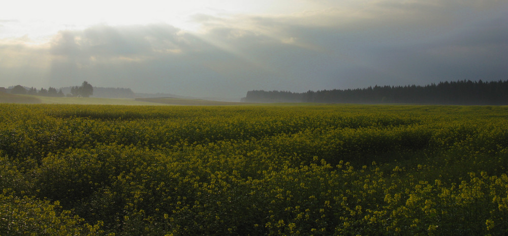 second light above truchtlaching