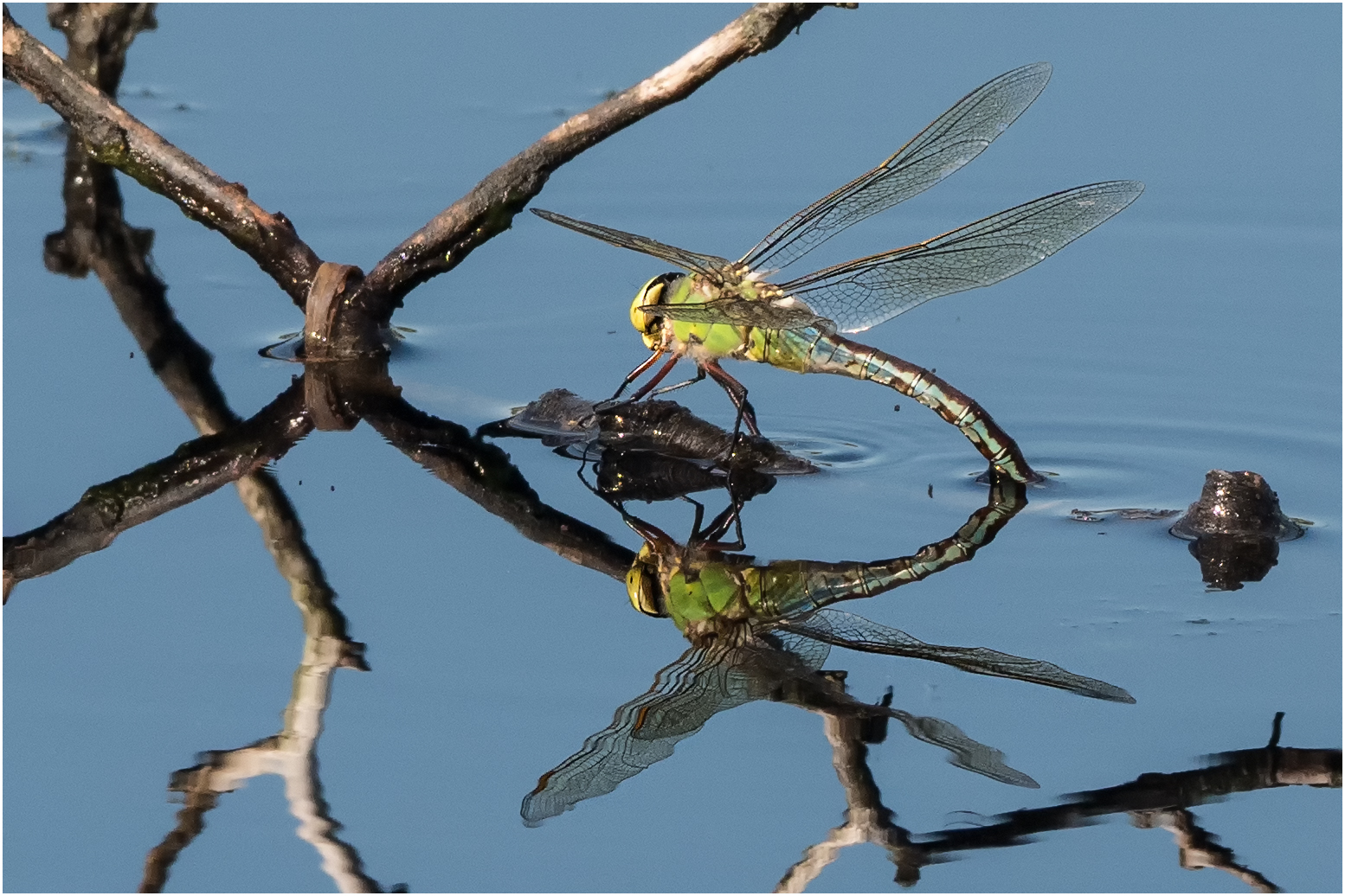 seconds of mirroring  .....