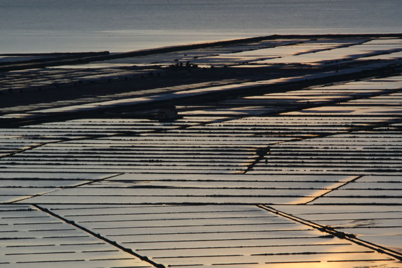 Secovlje saltpans