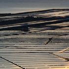 Secovlje saltpans