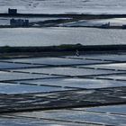 SECOVLJE saltpans - Slovenia