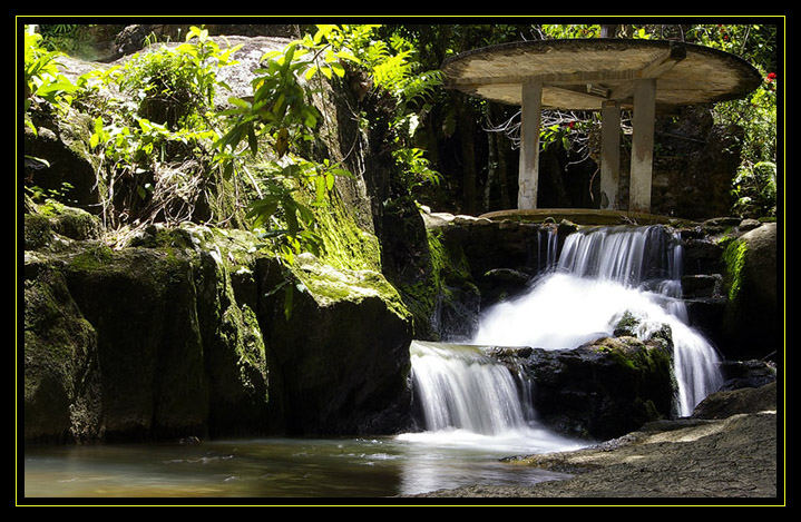 Secret Buddha Garden