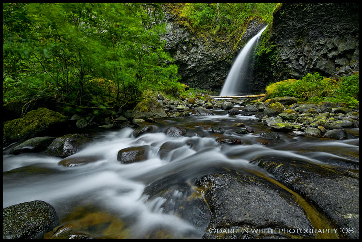 Secret Falls - Dancing Trees