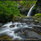 Secret Falls - Dancing Trees