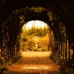 " Secret Garden "