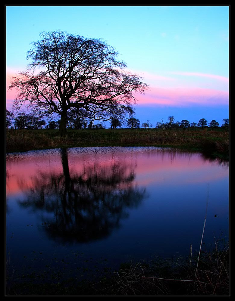 Secret pond