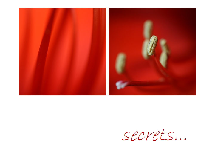 secrets...