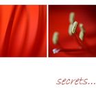 secrets...