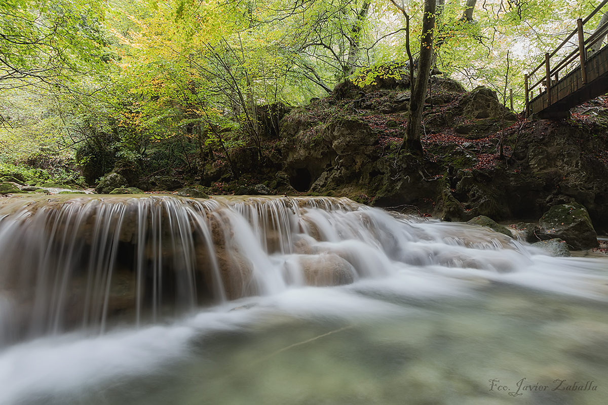 Sedas de otoño