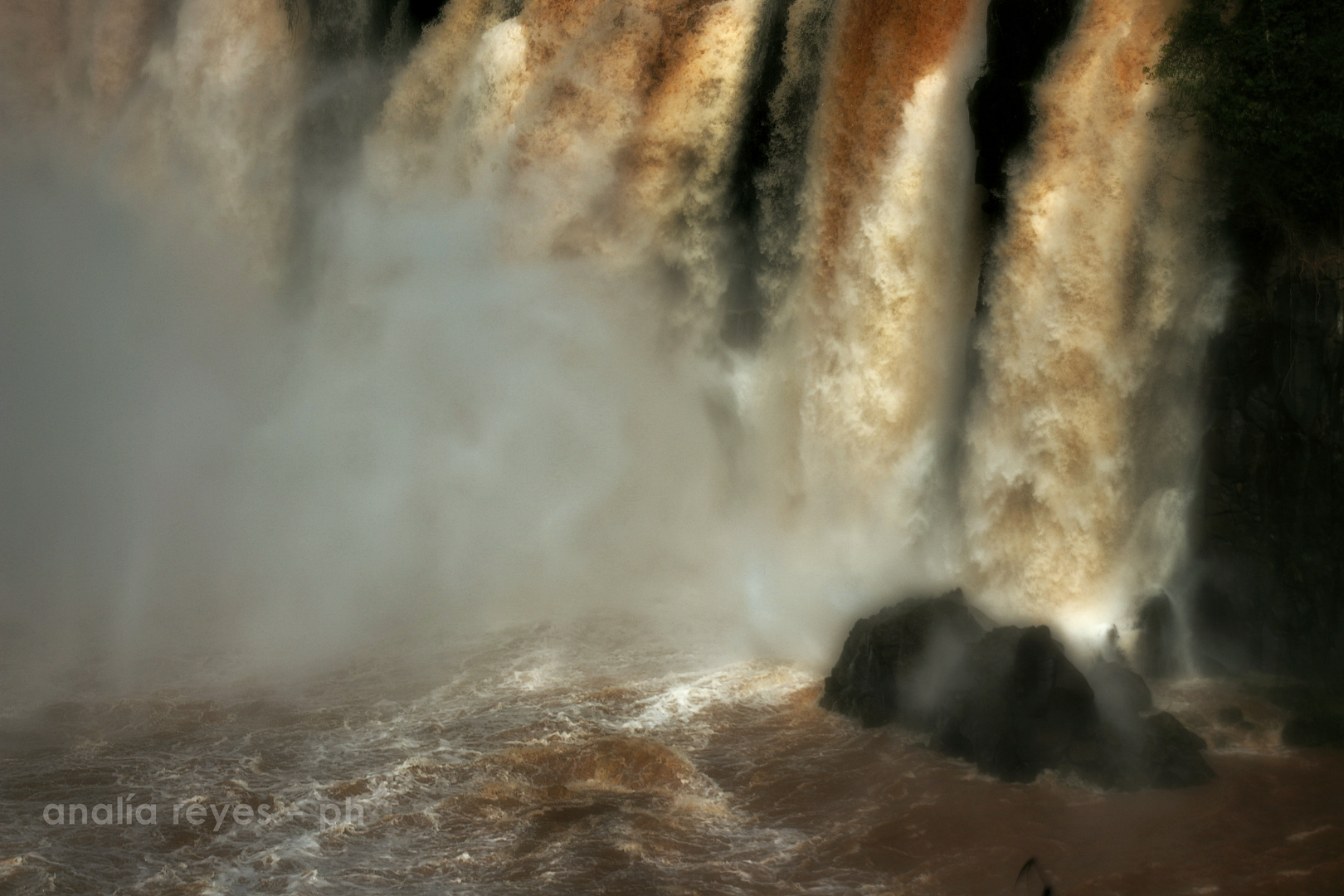 Sedas en el agua (Cataratas del Iguazú)