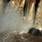 Sedas en el agua (Cataratas del Iguazú)