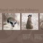 Sedcard E. Erdmann