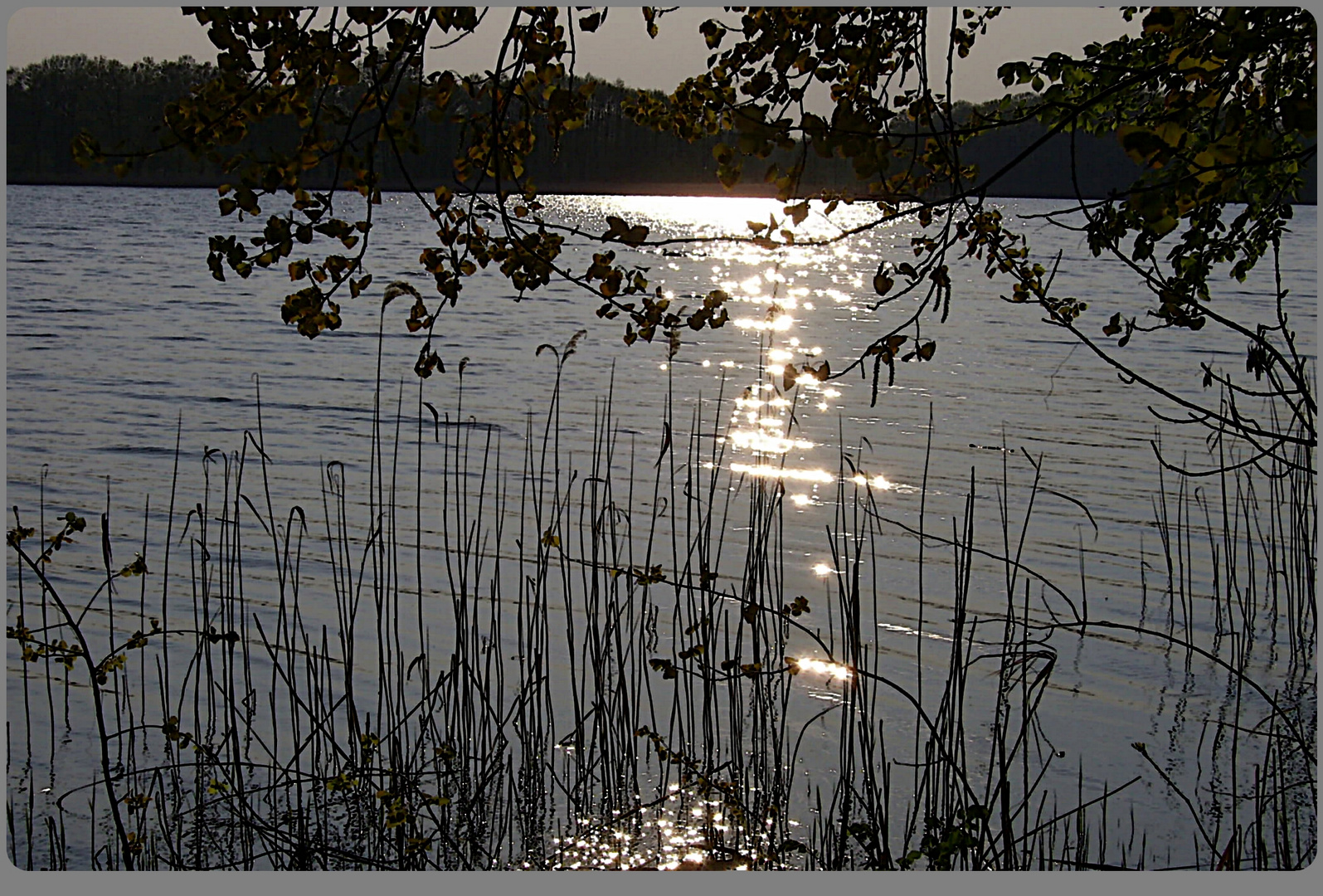 Seddiner See - das Originale von dem Ostereibildchen