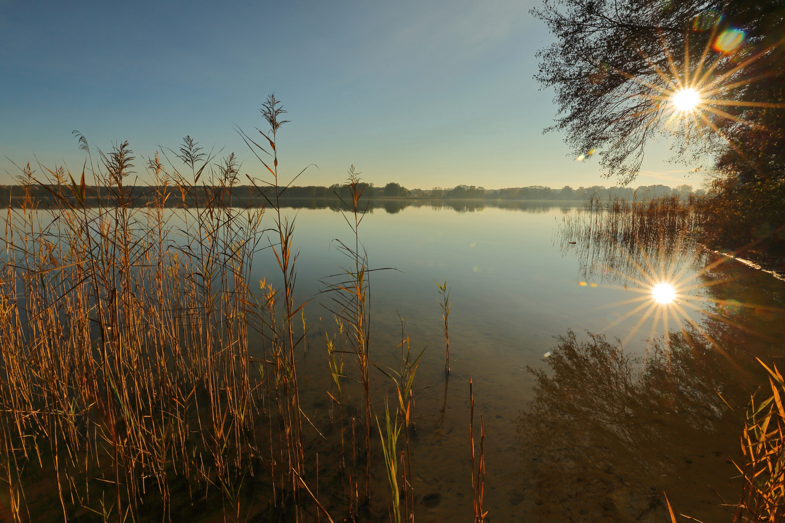 Seddinsee