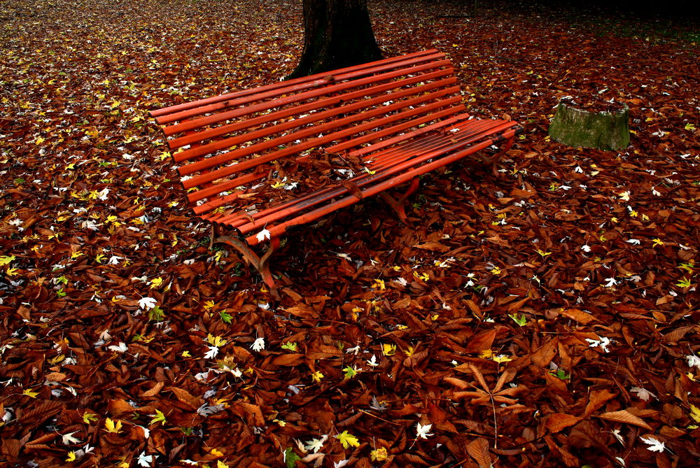 Sedersi in un mare di foglie...