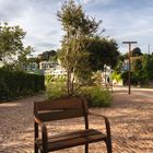 Sedia sul lungolago di Laveno