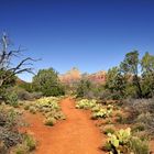 Sedona, Arizona