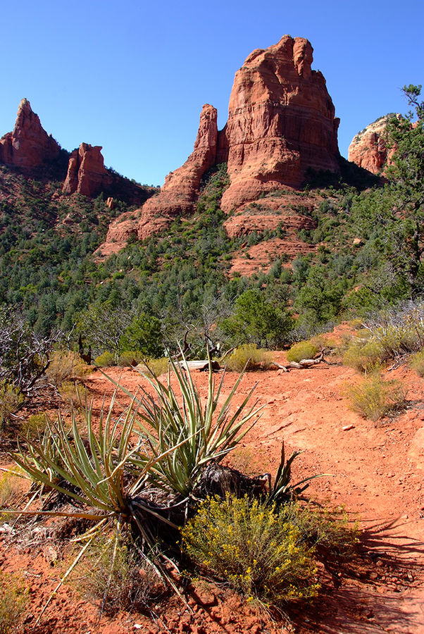 +++ Sedona - Red Rock Country +++