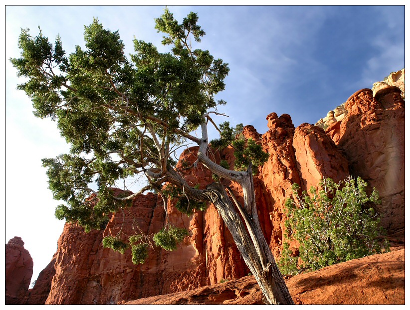 Sedona Red Rocks