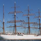 SEDOV