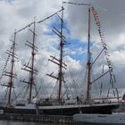 Sedov