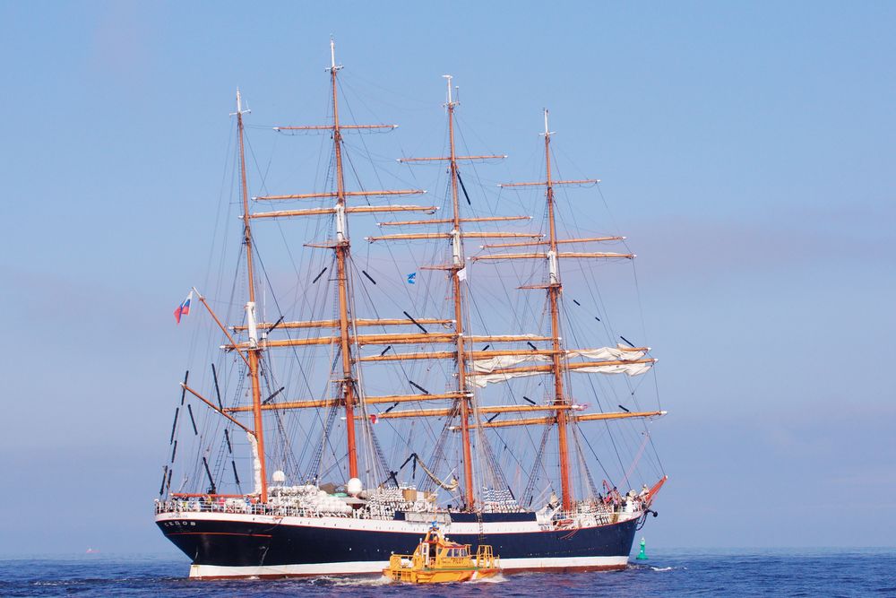 Sedov 2011