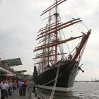 Sedov #3