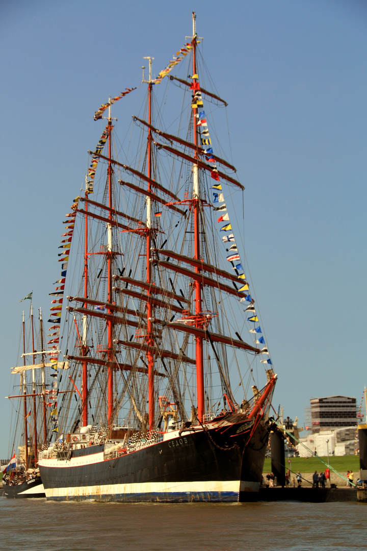 Sedov