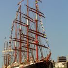 Sedov