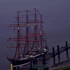 Sedov