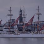 SEDOV 