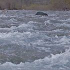 Seduto sulle pietre del torrente...