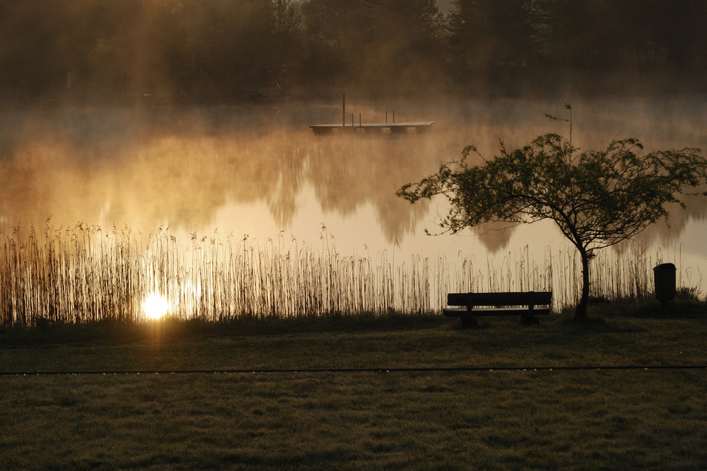 See am frühen Morgen