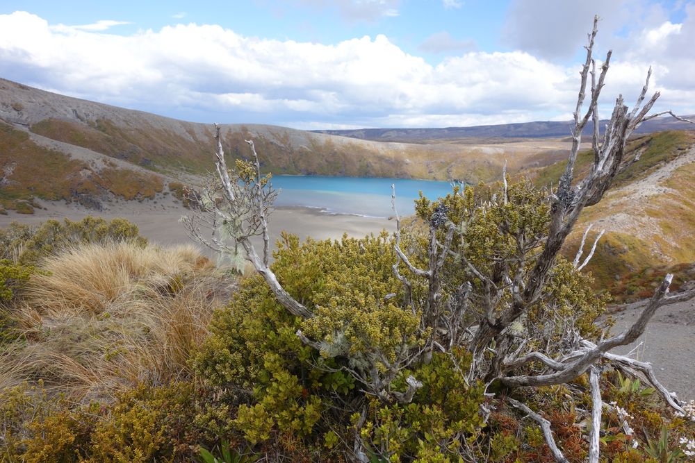 See am Mount Tongariro