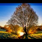 See am Südhang Hohenmölsen in der Morgensonne